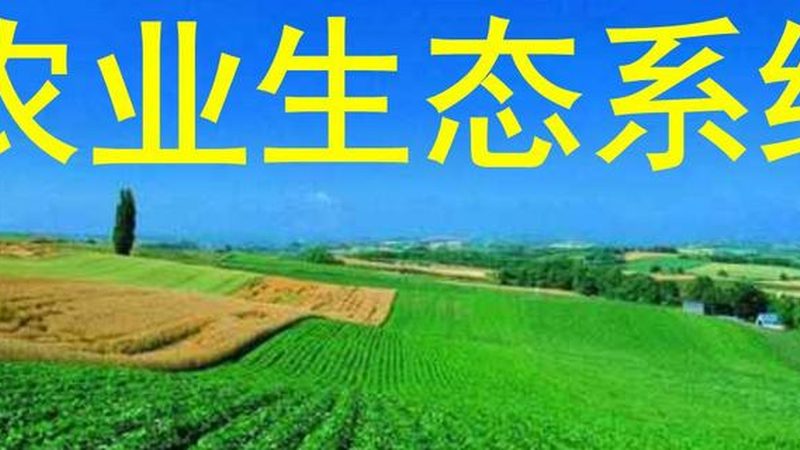 智慧农业种植系统：标准规范引领未来