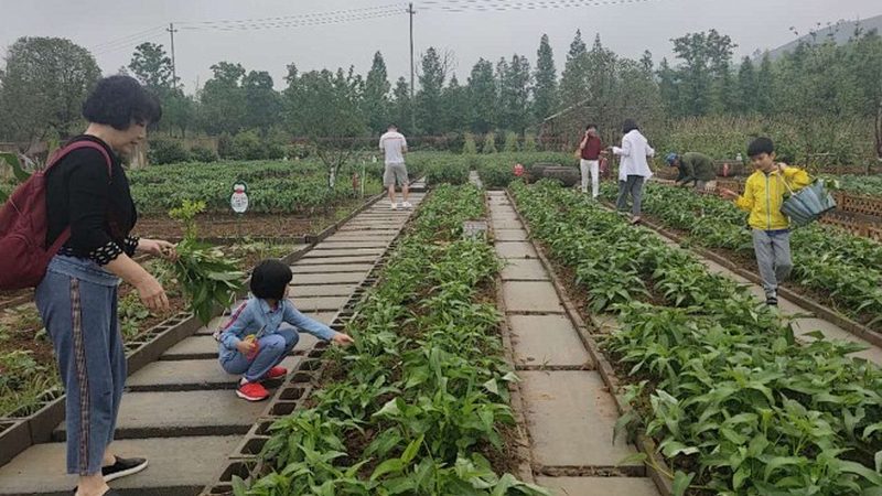 甘肃茶业有限公司