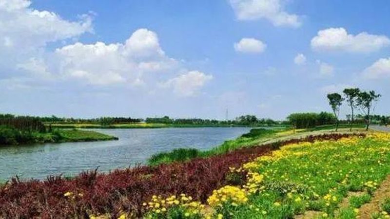 粮食种子适合哪些地区种植