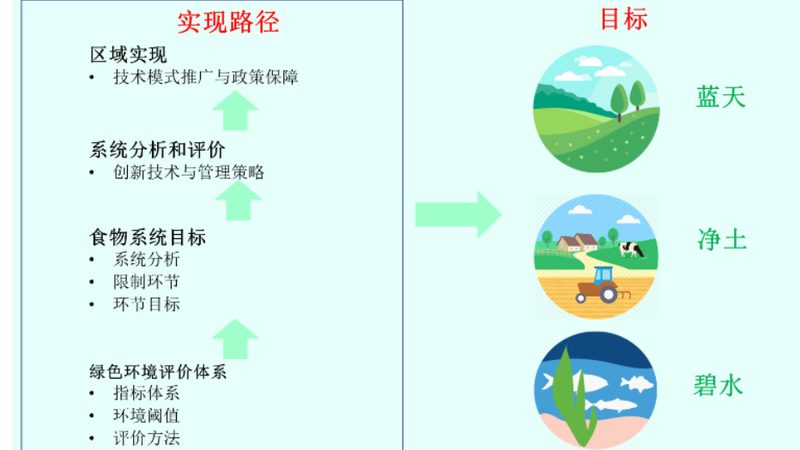 农产品批发电商平台：如何选择与品牌排行**