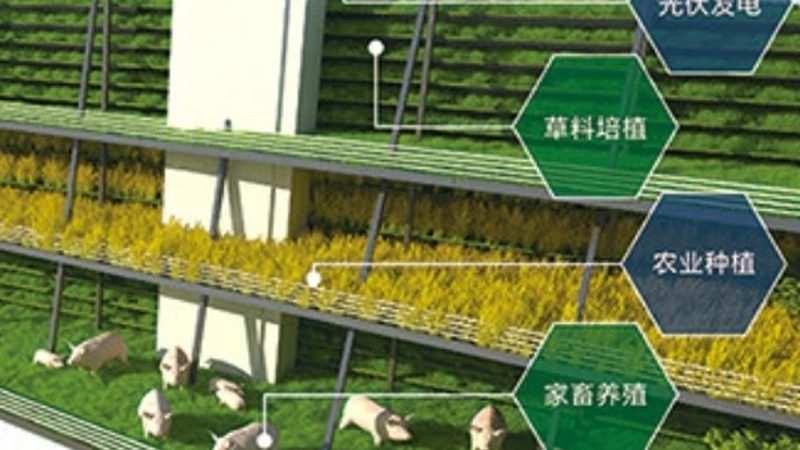 果树专用肥如何选？揭秘十大品牌背后的真相