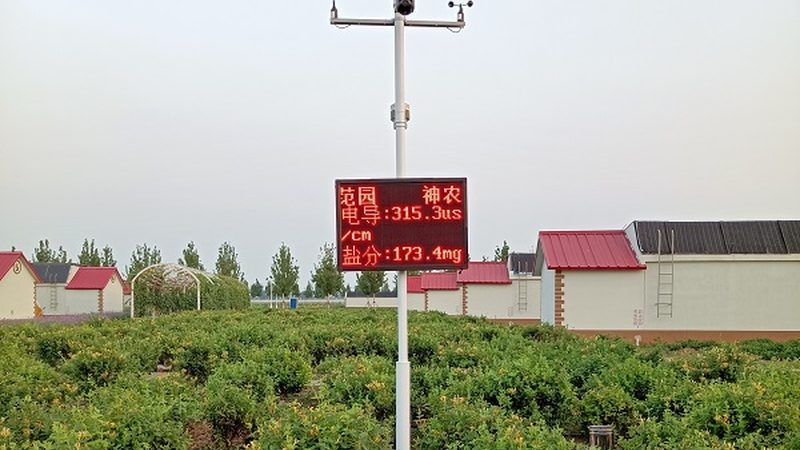 农业项目规划书：如何打造高效可持续的农业生态