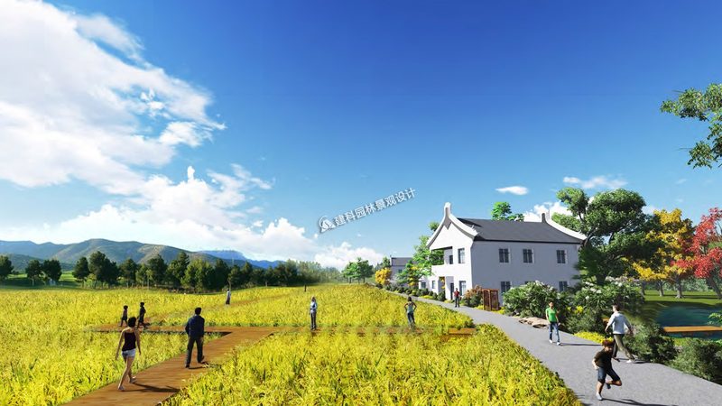 果蔬配送加盟新手入门方法：从行业现状到实操技巧