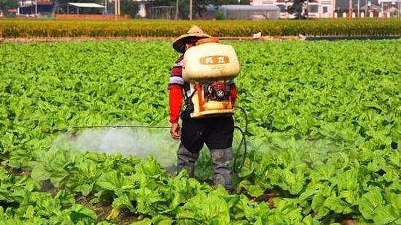 家庭农场土壤生态修复：关键步骤与注意事项**